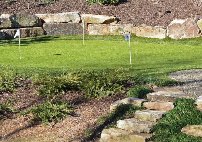 Top Trends For San Francisco Backyard Golf Putting Greens