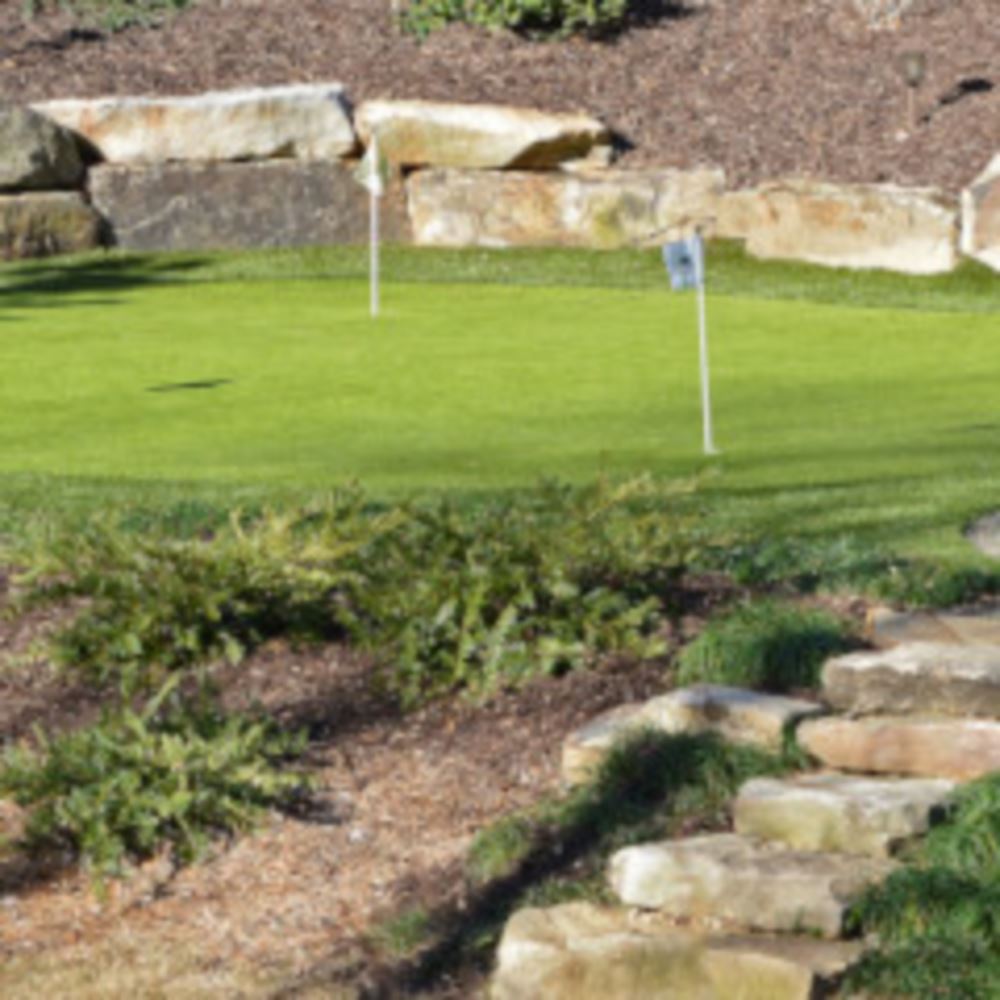 Top Trends For San Francisco Backyard Golf Putting Greens